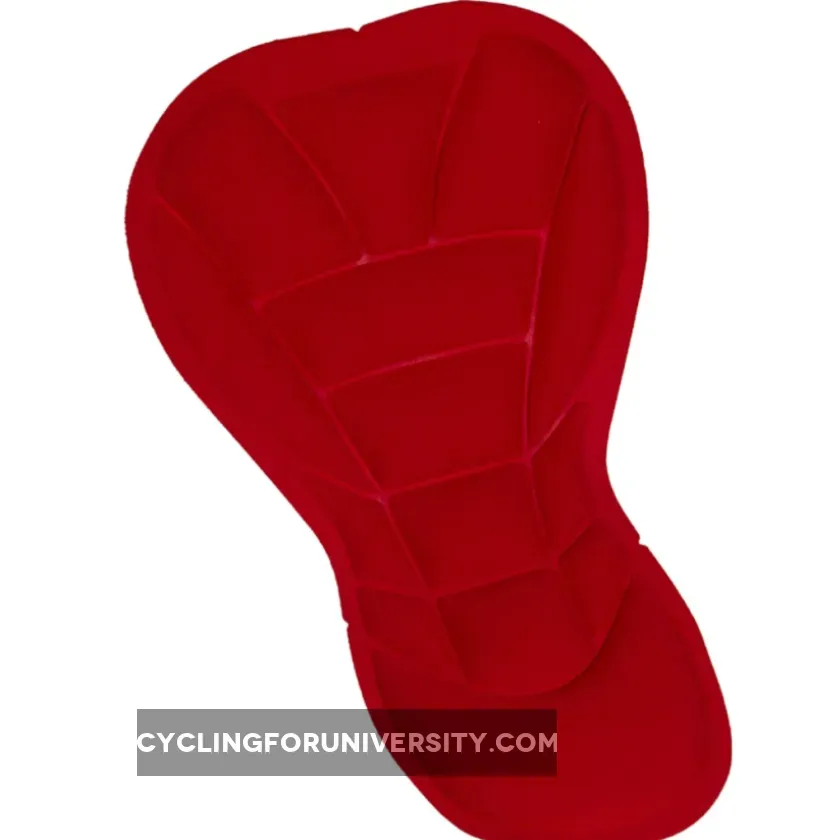 Formaggio Women's 6 Panel Basic Padded Lycra Cycling Short