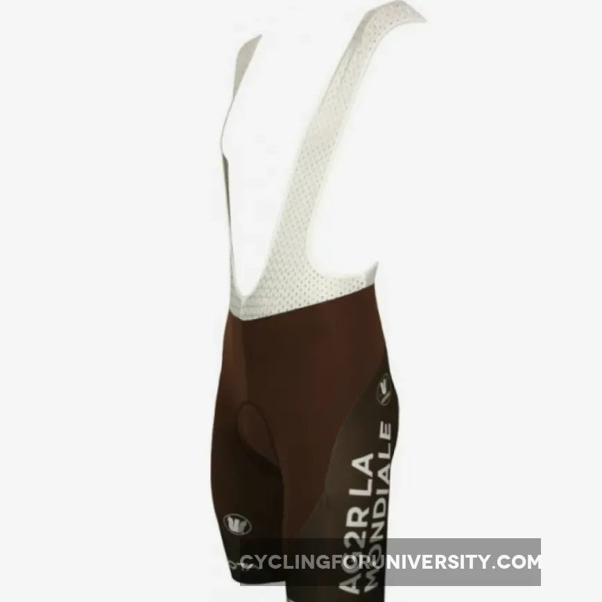 Ag2r la Mondiale 2010 Vermarc Radsport-Profi-Team - Hose (Trägerhose) Bib Shorts