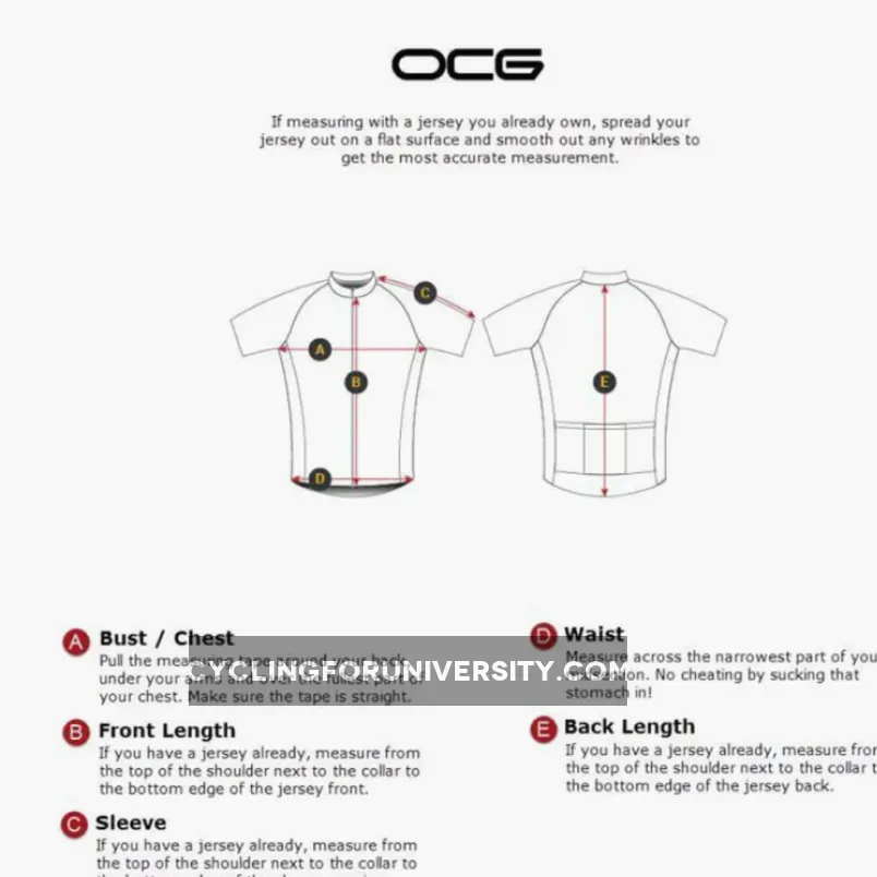 PAVE Athletic Silver Team Short Sleeve Cycling Jersey