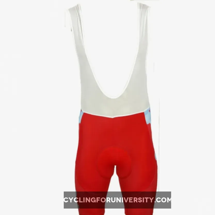 ACQUA & SAPONE 2012 Giessegi Radsport-Profi-Team - Kurzarmtrikot bib Shorts