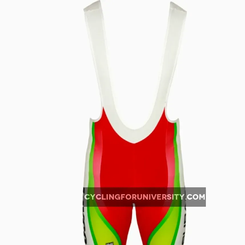 GREENEDGE CYCLING Japanese champ Meister 2011-12 Bib Shorts