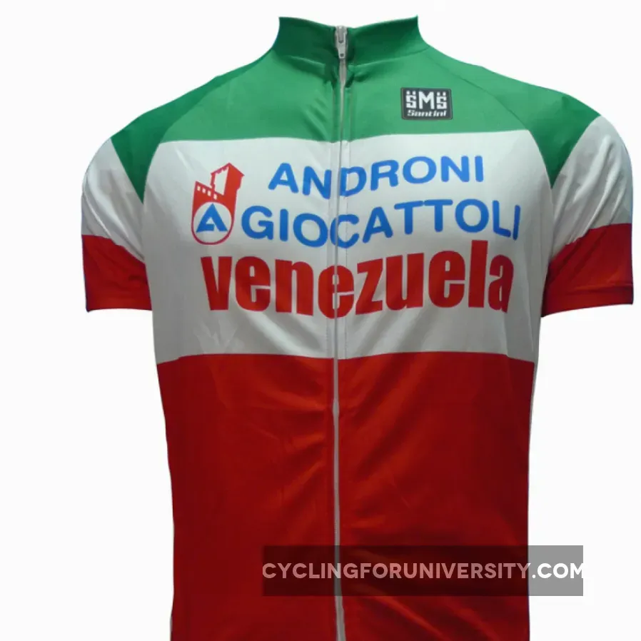 2013 ANDRONI GIOCATTOLI professional cycling team - cycling jersey short sleeve