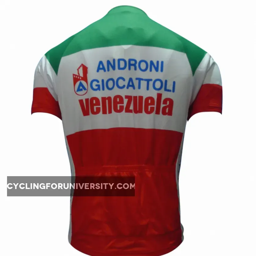 2013 ANDRONI GIOCATTOLI professional cycling team - cycling jersey short sleeve