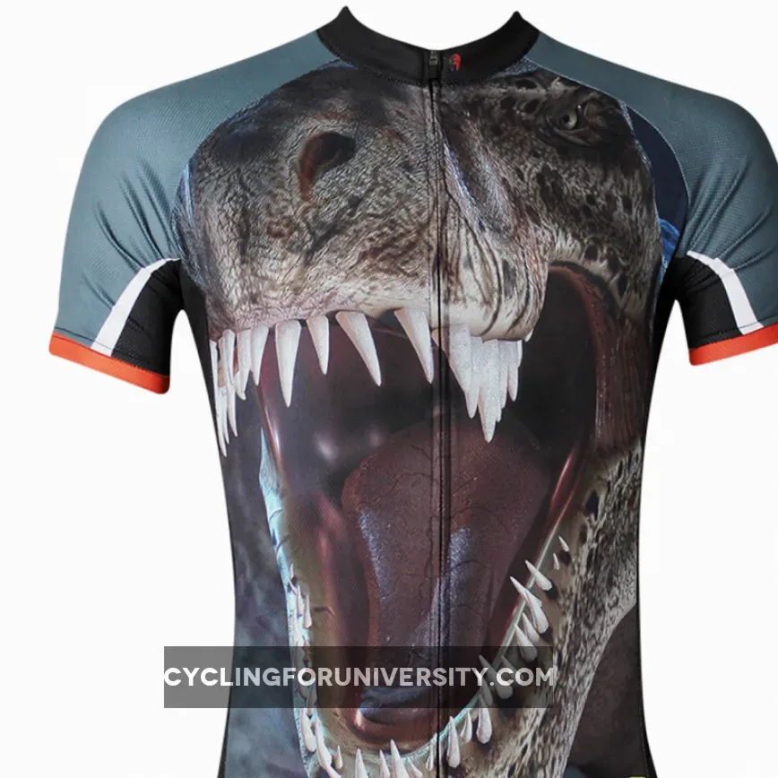 ILPALADINO Dragon Men's Cycling Short Sleeve Bike Shirt Quick Dry Exercise Bicycling Pro Cycle Clothing Racing Apparel Outdoor Sports Leisure Biking Shirts NO.116